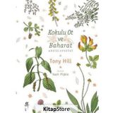Kokulu Ot ve Baharat Ansiklopedisi - Tony Hill