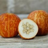 KOKULU SÜS KAVUNU TİGER MELON TOHUMU