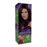 Koleston 3.66 Bitkisel Saç Boyası