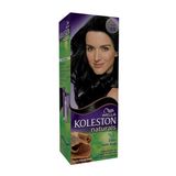 Koleston Bitkisel 2 0 Saç Boyası
