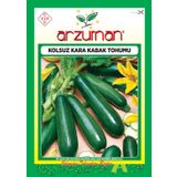 KOLSUZ KARA KABAK TOHUMU 10 GR ORT 75 AD TOHUM