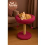 Komano Pontika 2 Si 1 Arada | Kedi Tırmalama Tahtalı/ Kedi Yuvarlak Yataklı | Yumuşacık 40 Cm Yatak, 55 Cm Uzunluk