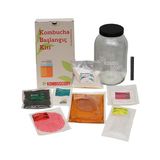 Kombu Scoby Mantarı - Kombucha Kültürü - Kombucha Scoby - Kombu Çayı Maksi Kit