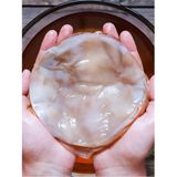 Kombucha Combucha Combuçay Reshi Reiki İçecek Mayalama Mantarı