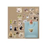 Komik Kedi/meme cat sticker paketi/bullet journal defter çıkartma ajanda laptop etiket