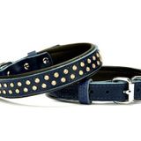 Konforlu Deri Swarovski Kristal Taşlı Köpek Boyun Tasması 2 X 28-34 Cm Mavi