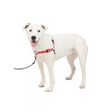 Konforlu Ve Güvenli Köpek Koşum Takımı