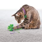 Kong 035585351018 7-8 cm Kedi Yün Hışırtı Oyuncak Ve Tasma Süsü