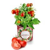 Konserve Bahçem Çeri Domates Yetiştirme Kiti