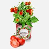 Konserve Bahçem Domates Fide Yetiştirme Kiti (8'Li Paket)