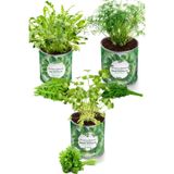 Konserve Bahçem Maydanoz + Dereotu + Roka 3 Adet Yetiştirme Kiti - Fide Yetiştirme Tohum Ve Torf