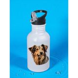Köpek Baskılı Matara Suluk 600 ml - Kız Çocuk Suluk, Kız Sulukları