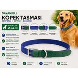 Köpek Boyun Tasması 41-49 Cm Dokuma Kumaş Deri Detaylı Ayarlanabilir Metal Tokalı - Mavi Yeşil