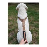 Köpek Boyun Tasması Ayarlanabilir Boğma Model Çok Büyük Irk Deri