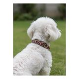 Köpek Boyun Tasması Ayarlanabilir Küçük, Orta ve Büyük Irk 2,5 cm Genişlik Kolon Kordon Leopar Desen