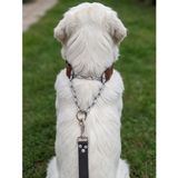 Köpek Boyun Tasması Ayarlanabilir Orta, Büyük ve Çok Büyük Irk Deri Tek Zincir