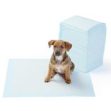 Köpek Çiş Eğitim Pedi 30'lu 60 x 90 CM