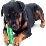 Köpek Diş Fırçası Isırma Aparatı Küçük Boy, Köpek Dişlik Yeşil