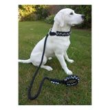 Köpek Gezdirme Kayışı & Boyun Tasması Tek Ürün 12 cm Çap İskoto Halat (000-Siyah, Tek ebat)