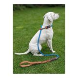 Köpek Gezdirme Kayışı & Boyun Tasması Tek Ürün 12 cm Çap İskoto Halat (Açık Mavi, Tek ebat)