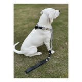 Köpek Gezdirme Kayışı & Boyun Tasması Tek Ürün 12 cm Çap İskoto Halat (Siyah & Beyaz, Tek ebat)
