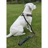 Köpek Gezdirme Kayışı & Boyun Tasması Tek Ürün 12 cm Çap İskoto Halat (Siyah, Tek ebat)