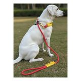Köpek Gezdirme Kayışı & Boyun Tasması Tek Ürün 6 cm Çap İskoto Halat