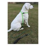 Köpek Gezdirme Kayışı Tasması Boğma Model 6 cm Çap İskoto Halat