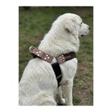 Köpek Göğüs Tasması Büyük & Dev Irk Ayarlamalı 4,5 cm Genişlik Palaska Kolon Kordon Vizon & Siyah (Siyah & Kahverengi, L/XL)
