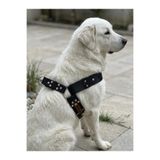 Köpek Göğüs Tasması Büyük & Dev Irk Ayarlamalı 4,5 cm Genişlik Palaska Kolon Kordon Vizon & Siyah (Siyah, L/XL)