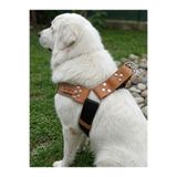 Köpek Göğüs Tasması Büyük & Dev Irk Ayarlamalı 4,5 cm Genişlik Palaska Kolon Kordon Vizon & Siyah (Vizon & Siyah, L/XL)
