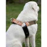 Köpek Göğüs Tasması Büyük & Dev Irk Ayarlamalı 5 cm Genişlik Emniyet Kemeri Palaska Kolon Kordon