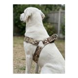 Köpek Göğüs Tasması Büyük Irk Ayarlamalı 4 cm Genişlik Kolon Kordon Taba & Haki & Krem - Kamuflaj