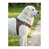 Köpek Göğüs Tasması Dev Irk Ayarlanabilir Deri Vizon & Taba & Antik Kahverengi