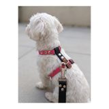 Köpek Göğüs Tasması H Tipi Minik & Küçük Irk Ayarlamalı 1,5 cm Genişlik Kordon Pembe & Siyah