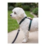 Köpek Göğüs Tasması H Tipi Minik & Küçük Irk Ayarlamalı 1,5 cm Genişlik Kordon Yeşil & Siyah