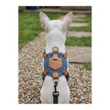 Köpek Göğüs Tasması Küçük, Orta ve Büyük Irk Ayarlamalı Kot Açık Mavi Takip Cihazı Koyulabilen Cep