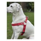 Köpek Göğüs Tasması Küçük ve Büyük Irk Ayarlamalı Kolon Kordon Kırmızı (Kırmızı, M/L)