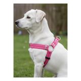 Köpek Göğüs Tasması Küçük ve Büyük Irk Ayarlamalı Kolon Kordon Kırmızı (Pembe, S)