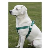 Köpek Göğüs Tasması Küçük ve Büyük Irk Ayarlamalı Kolon Kordon Kırmızı (Yeşil, M/L)