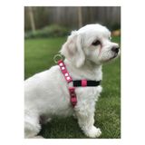 Köpek Göğüs Tasması Küçük ve Orta Irk Ayarlamalı 1,5 cm Genişlik Kolon Kordon Pembe & Siyah