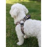 Köpek Göğüs Tasması Küçük ve Orta Irk Ayarlamalı Kolon Kordon Leopar Desen & Krem