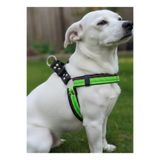 Köpek Göğüs Tasması Küçük ve Orta Irk Ayarlamalı Kolon Kordon Yeşil & Siyah