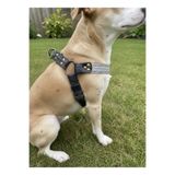 Köpek Göğüs Tasması Küçük ve Orta Irk Ayarlamalı Kot Açık Gri & Koyu Gri