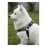 Köpek Göğüs Tasması Minik, Küçük ve Orta Irk Ayarlamalı Kolon Kordon Haki & Siyah