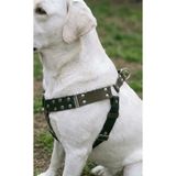 Köpek Göğüs Tasması Orta & Büyük Irk Ayarlamalı Kolon Kordon ve Nubuk Deri Siyah & Vizon