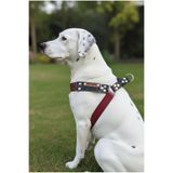 Köpek Göğüs Tasması Orta ve Büyük Irk Ayarlanabilir Deri & Kot Bordo - Gri