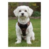 Köpek Göğüs Tasması Sırttan Çekmeli Küçük ve Orta Irk Ayarlanabilir Hakiki Deri Acı Kahve
