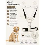 Köpek Göğüs Tasması Ve Sevk Kayışı Seti 40-60 Cm Suni Deri Perçinli Orta Büyük Irk - Beyaz