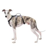 Köpek güvenlik koşum takımı, kaymaz köpek koşum takımı, Escape Proof, saplı yansıtıcı yemek takımı, nefes alır, uzun ömürlü, orta boy köpekler için ayarlanabilir yelek (siyah, M)